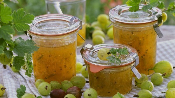 20 полезных свойств крыжовника, о которых вы ничего не знали