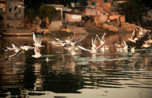 5 мест Дели, которые стоит посетить