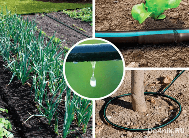 Автоматический полив газона: принцип работы системы и оборудование