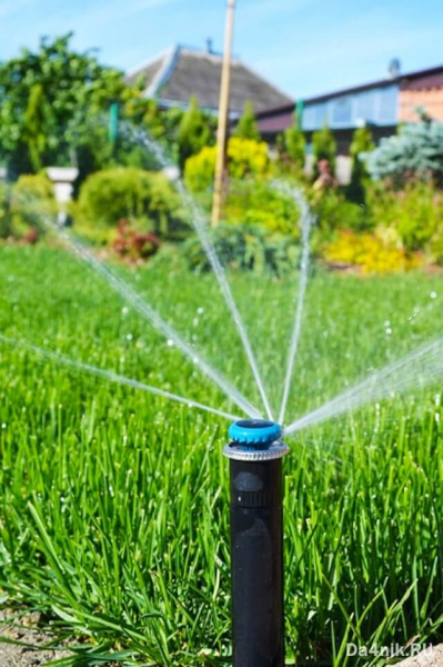 Автоматический полив газона: принцип работы системы и оборудование