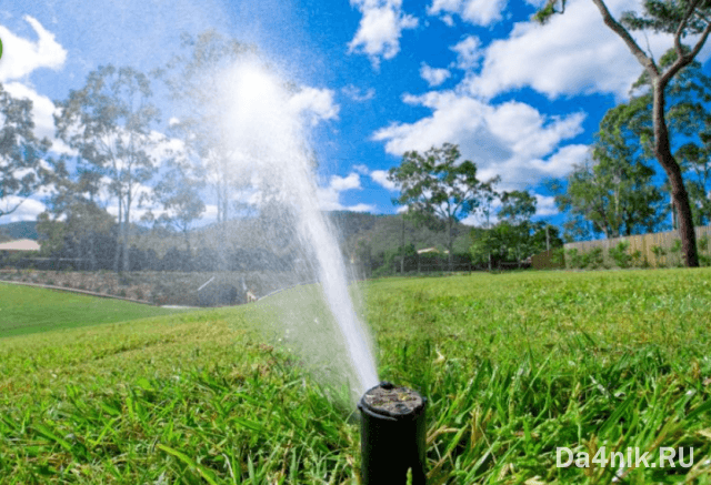 Автоматический полив газона: принцип работы системы и оборудование