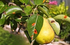 Чем удобны мобильные кондиционеры