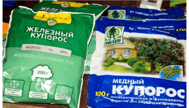 Чем правильно лечить ржавчину на листьях груши?