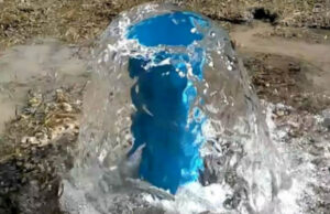 Дачники требуют вернуть «водную амнистию»