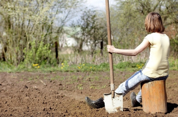 Дачники требуют вернуть «водную амнистию»