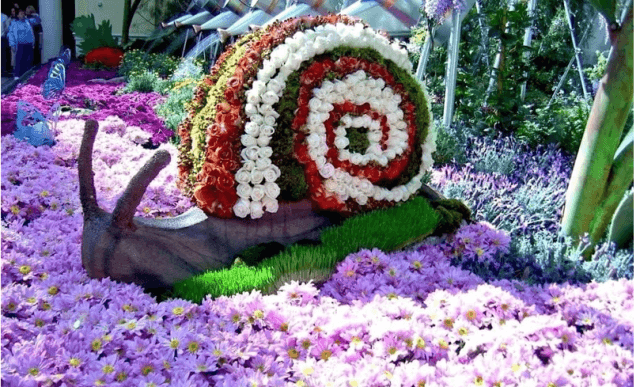 Дизайн клумб — основные принципы создания цветника