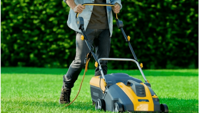 Для чего нужен вертикуттер при обслуживании газона