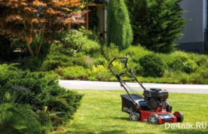 Для чего нужен вертикуттер при обслуживании газона