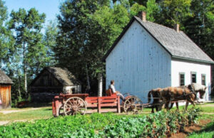 Фермеры смогут возводить жилые дома для своих семей на землях сельхозназначения