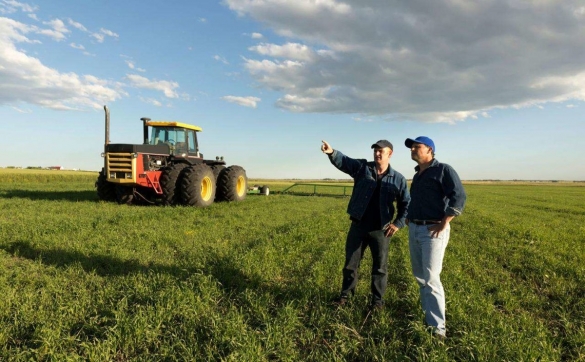 Фермеры смогут возводить жилые дома для своих семей на землях сельхозназначения