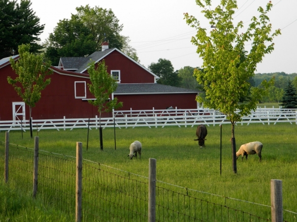 Фермеры смогут возводить жилые дома для своих семей на землях сельхозназначения