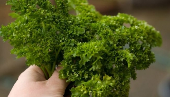 Фермеры смогут возводить жилые дома для своих семей на землях сельхозназначения