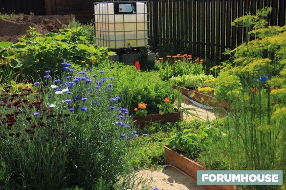 Газобетон моей души. Безумно красивый дом из ячеистого бетона