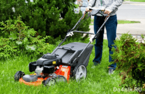 Где купить газонокосилку