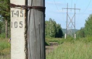 Как определить напряжение линий электропередач: простые способы