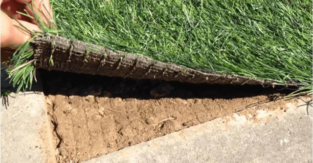 Как правильно уложить искусственный газон на различные основания