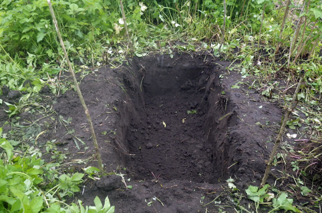 Как сделать пруд из старой ванны своими руками