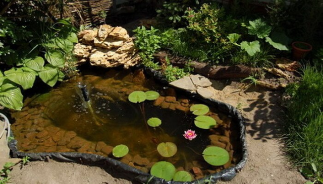Как сделать пруд из старой ванны своими руками