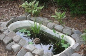 Как сделать пруд из старой ванны своими руками