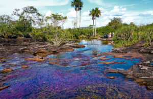 Каньо-Кристалес – самая яркая река в мире