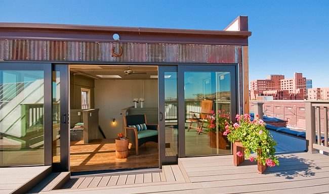 Королевская герань или пеларгония (70+ фото): аристократка в пышных нарядах