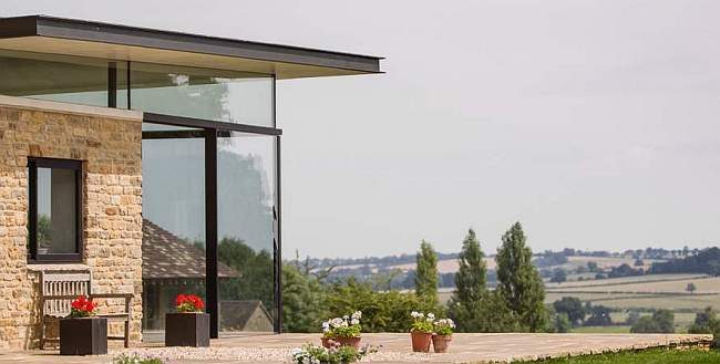 Королевская герань или пеларгония (70+ фото): аристократка в пышных нарядах