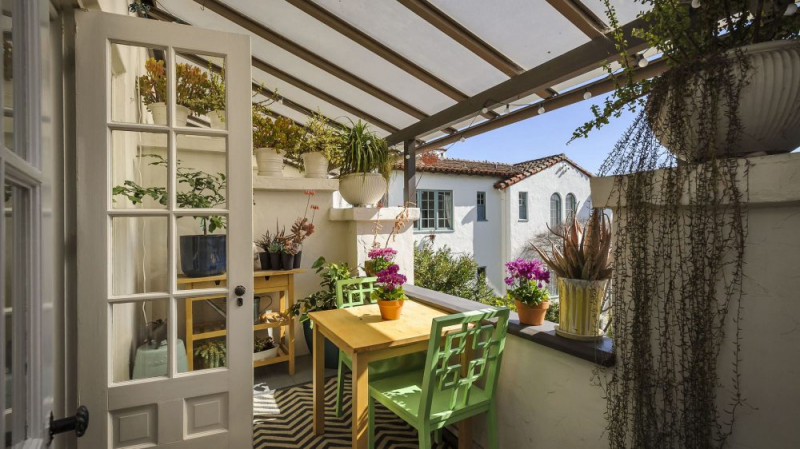 Королевская герань или пеларгония (70+ фото): аристократка в пышных нарядах