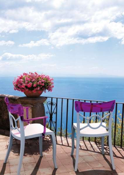 Королевская герань или пеларгония (70+ фото): аристократка в пышных нарядах