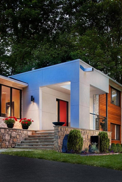 Королевская герань или пеларгония (70+ фото): аристократка в пышных нарядах