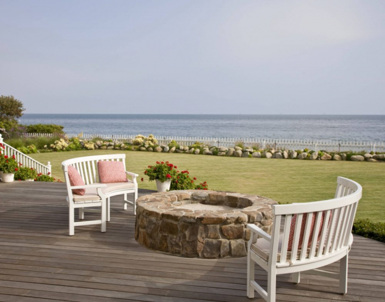 Королевская герань или пеларгония (70+ фото): аристократка в пышных нарядах