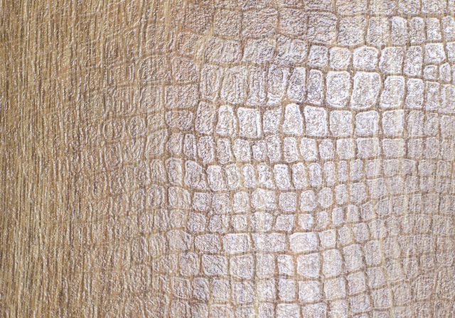 Ламинат Риттер: отзывы профессионалов, коллекции, правила укладки