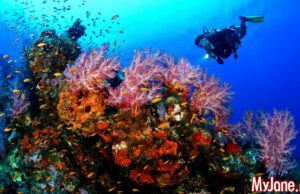 Лучшие страны для дайвинга