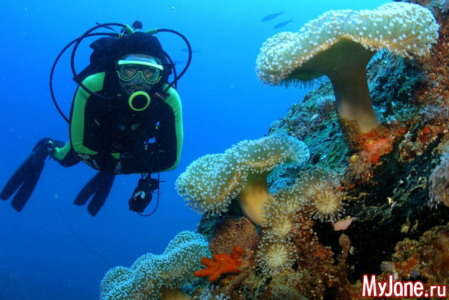 Лучшие страны для дайвинга