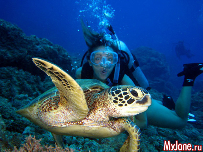 Лучшие страны для дайвинга
