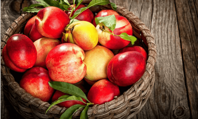 Нектарины: свойства, сорта и посадка голоплодного персика