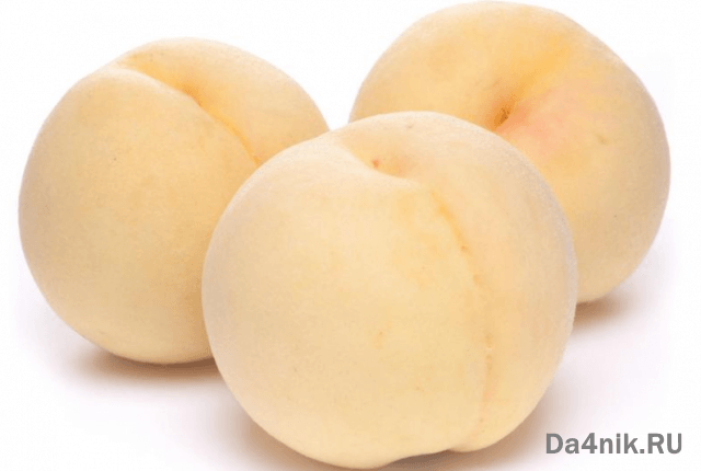 Нектарины: свойства, сорта и посадка голоплодного персика