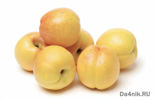 Нектарины: свойства, сорта и посадка голоплодного персика