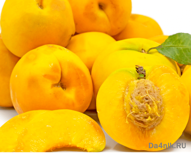 Нектарины: свойства, сорта и посадка голоплодного персика