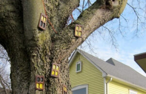 Необычные украшения для сада своими руками (100+ идей): оригинальные задумки и пошаговая реализация