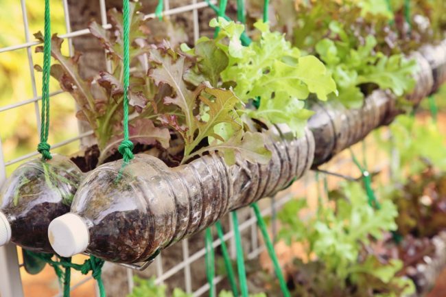 Необычные украшения для сада своими руками (100+ идей): оригинальные задумки и пошаговая реализация