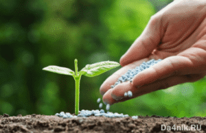 Нутривант Плюс Универсальный 18-18-18+2MgO+ME