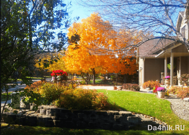 Планирование дачного или садового земельного участка