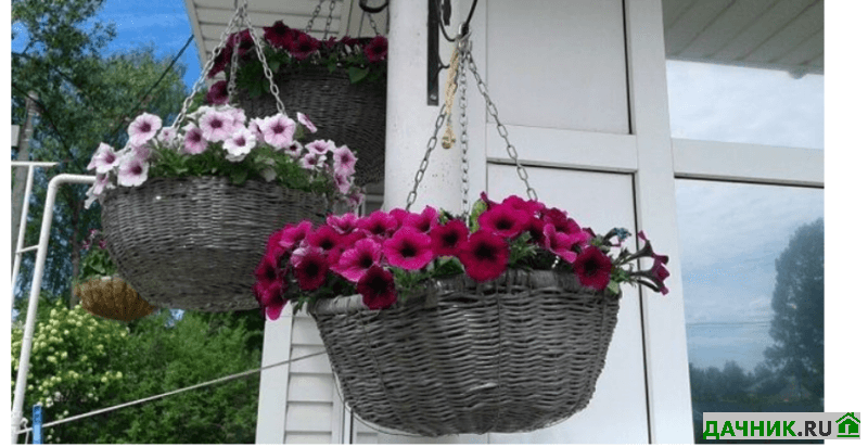 Плетёный заборчик из лозы для клумбы