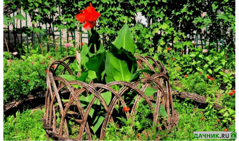 Плетёный заборчик из лозы для клумбы