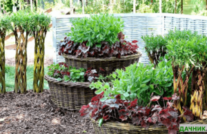 Плетёный заборчик из лозы для клумбы