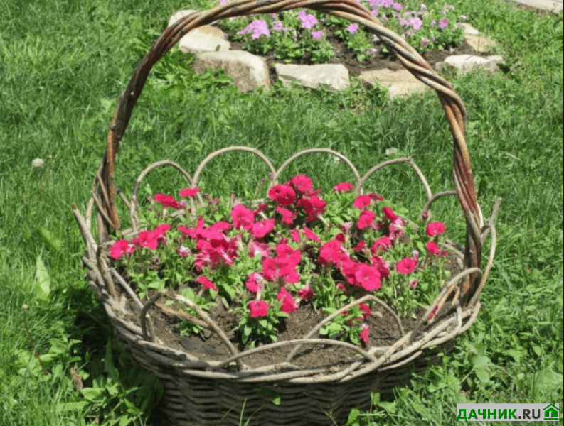 Плетёный заборчик из лозы для клумбы