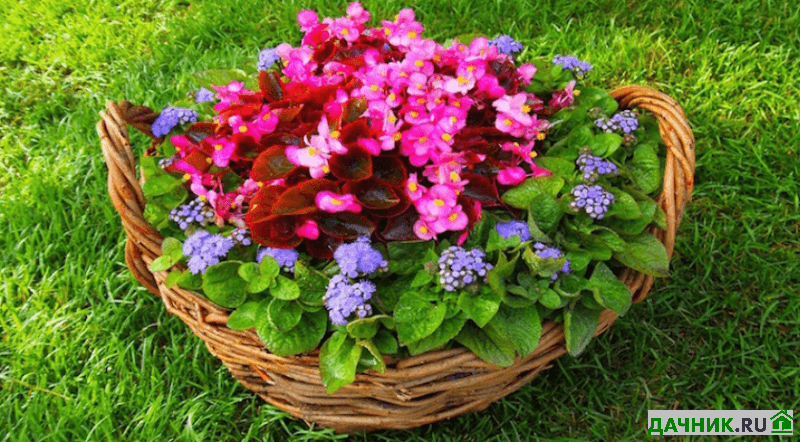 Плетёный заборчик из лозы для клумбы