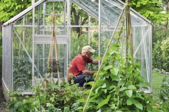 Подготовка теплицы к зиме: важные этапы обработки парника