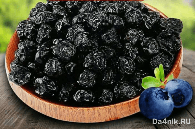 Польза и вред черники для здоровья женщины и мужчины