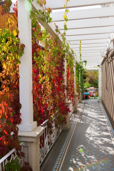 Пристроенная к дому веранда: расширяем полезное пространство (120+ лучших проектов)